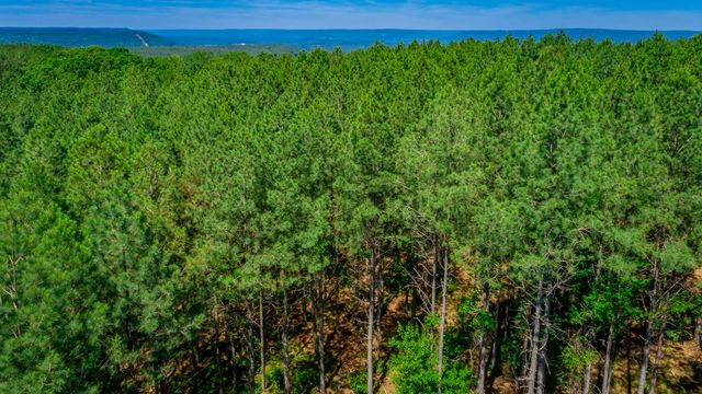 0 Split Rail Way Lot 1163, Guild, TN 37340