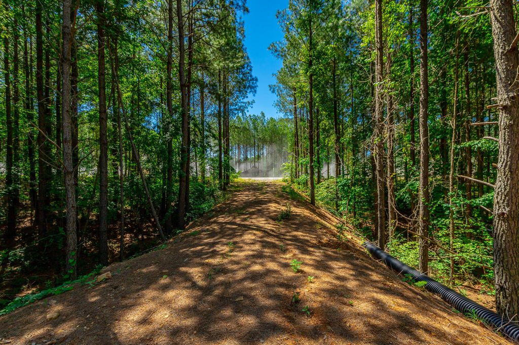 0 Split Rail Way Lot 1163, Guild, TN 37340