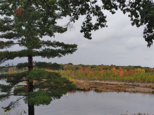 824 Forest Drive, Portage, MI 49002