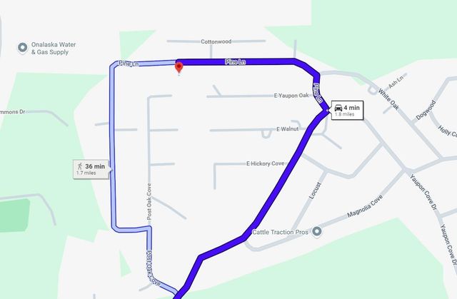 0 Pine Ln Lane, Onalaska, TX 77360