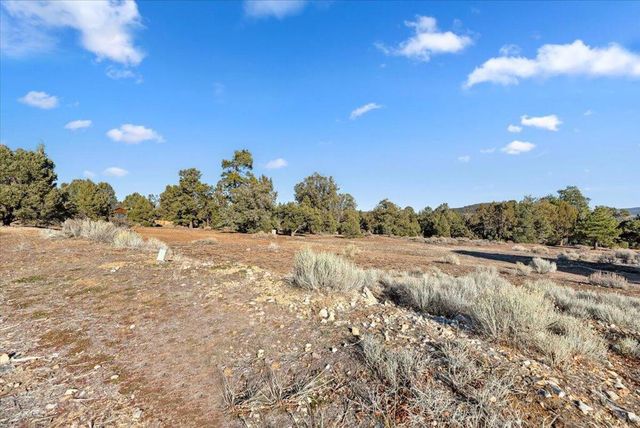 329 Pine Lane, Big Bear, CA 92314