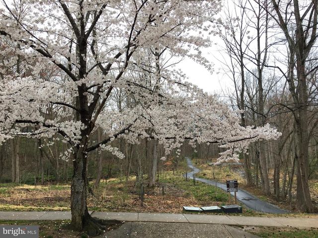 4229 ELIZABETH LN, Annandale, VA 22003