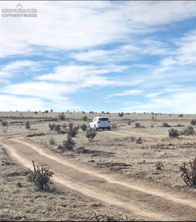 6750 S straight arrow Point, Fountain, CO 80817 — photo 4