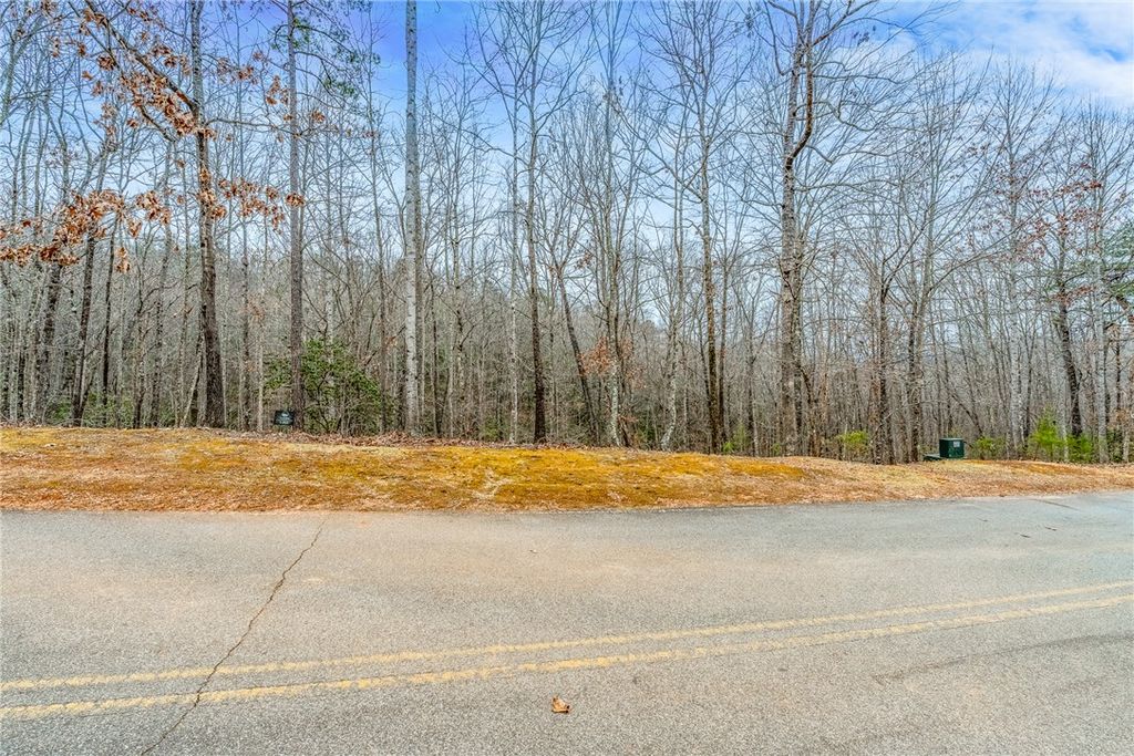 30 Lakes Edge Way, Marietta, SC 29661