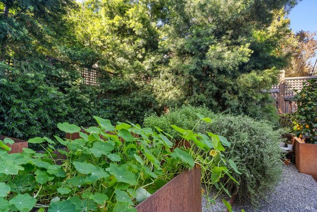 346 Piper St, Healdsburg, CA 95448