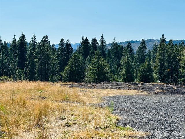3 XX Rockrose Dr (Lot 3), Ronald, WA 98940
