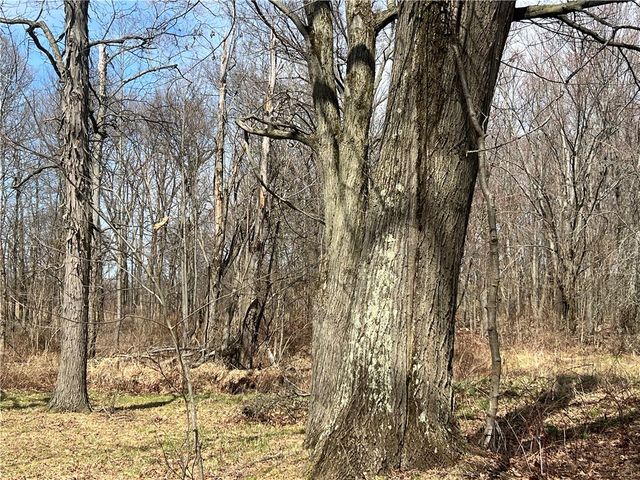 4905 Old Route 422, Slippery Rock Twp, PA 16101