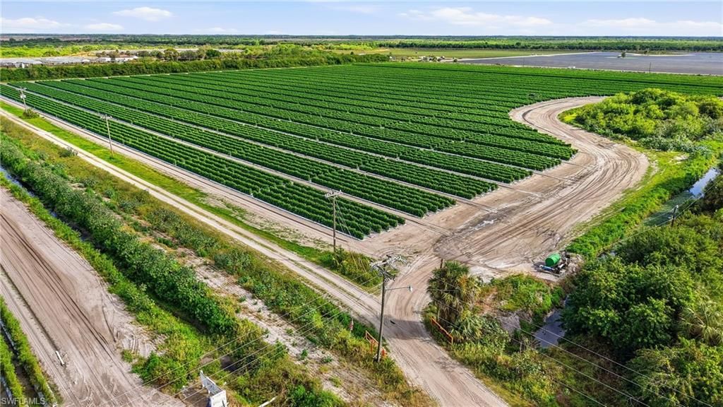 6150 Pringle LN, IMMOKALEE, FL 34142 — photo 3
