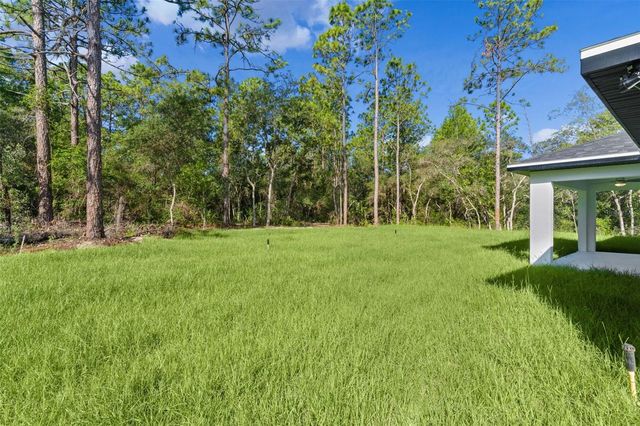3228 W CAMILO DRIVE, Citrus Springs, FL 34433