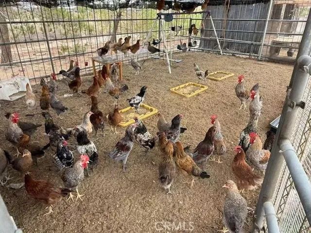 33979 Fremont Rd, Newberry Springs, CA 92365