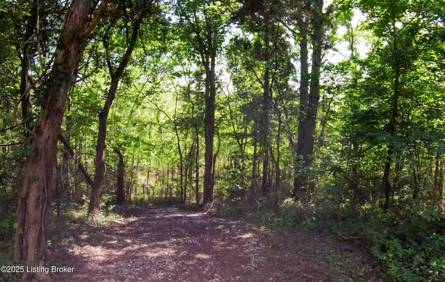 899 Pine Haven Rd, Clarkson, KY 42726