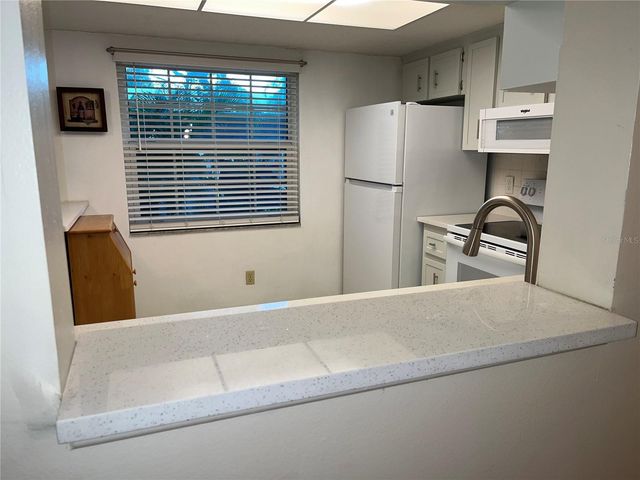 871 NEW YORK AVENUE 104, Dunedin, FL 34698