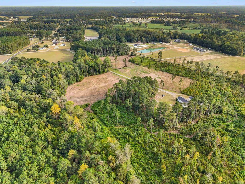 TBD Cane Branch Church Rd., Conway, SC 29527 — photo 5