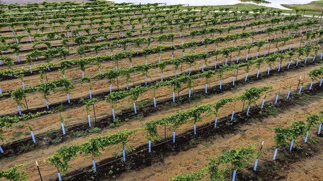 14931 Shavers Drive, Willis, TX 77318