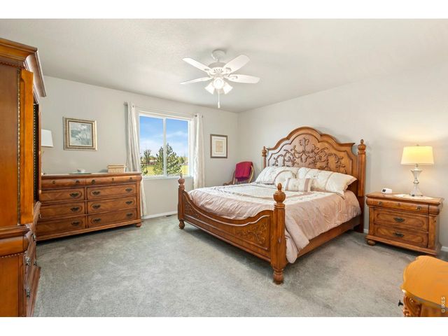 3603 Ronald Reagan Ave, Wellington, CO 80549