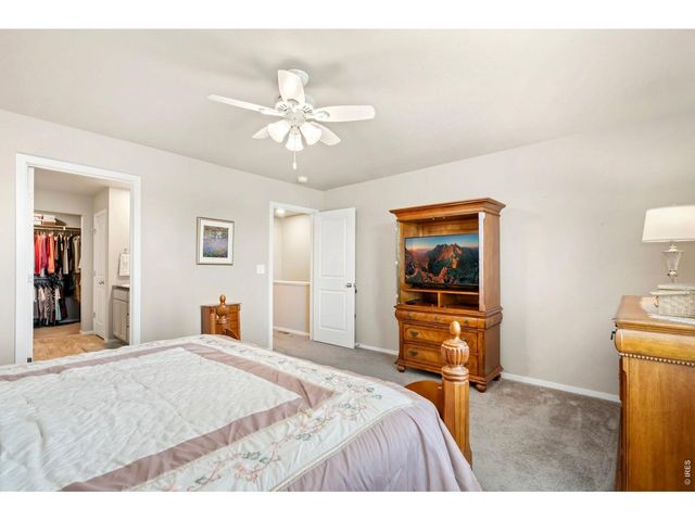 3603 Ronald Reagan Ave, Wellington, CO 80549