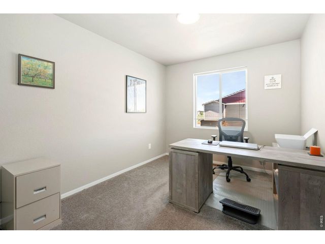 3603 Ronald Reagan Ave, Wellington, CO 80549