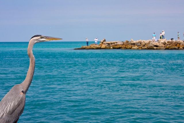 995 LAGUNA DRIVE 103, Venice, FL 34285