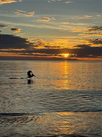 995 LAGUNA DRIVE 103, Venice, FL 34285