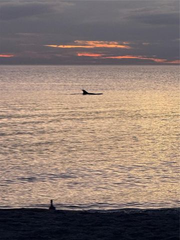 995 LAGUNA DRIVE 103, Venice, FL 34285