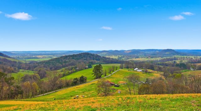 3633 Gnat Grove Rd, Cornersville, TN 37047