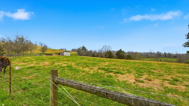 3633 Gnat Grove Rd, Cornersville, TN 37047