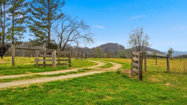 3633 Gnat Grove Rd, Cornersville, TN 37047