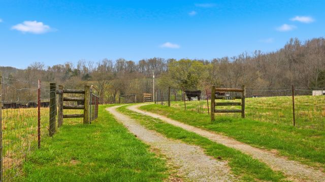 3633 Gnat Grove Rd, Cornersville, TN 37047