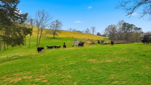 3633 Gnat Grove Rd, Cornersville, TN 37047