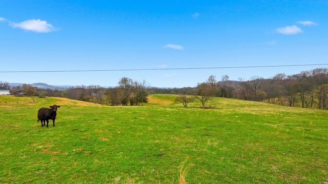 3633 Gnat Grove Rd, Cornersville, TN 37047