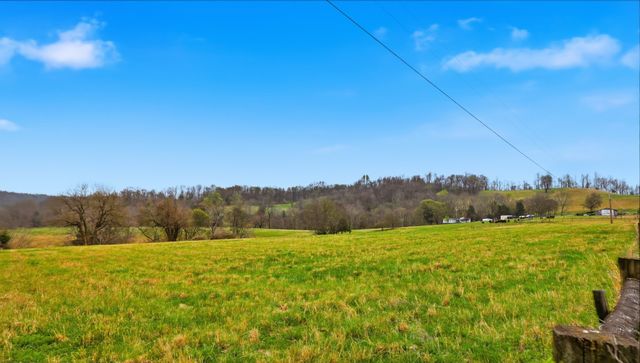 3633 Gnat Grove Rd, Cornersville, TN 37047