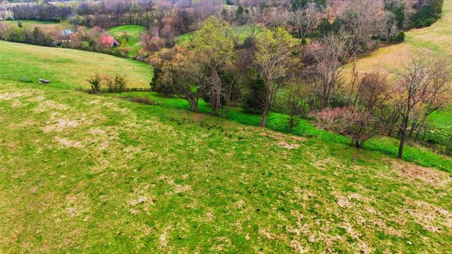 3633 Gnat Grove Rd, Cornersville, TN 37047