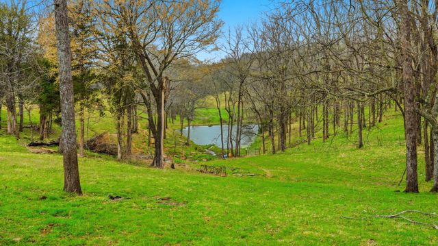 3633 Gnat Grove Rd, Cornersville, TN 37047