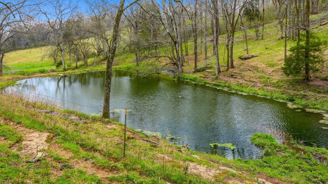 3633 Gnat Grove Rd, Cornersville, TN 37047