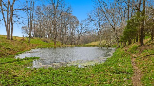 3633 Gnat Grove Rd, Cornersville, TN 37047