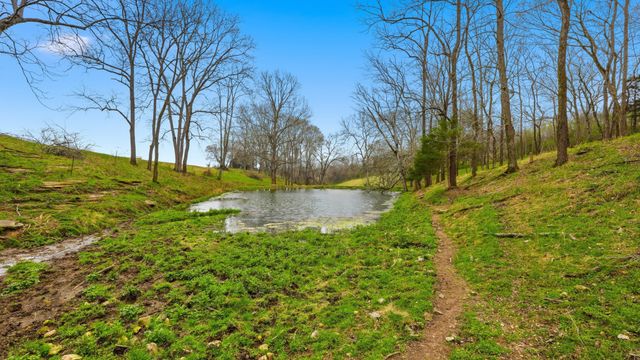 3633 Gnat Grove Rd, Cornersville, TN 37047