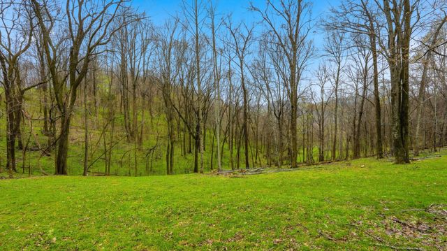 3633 Gnat Grove Rd, Cornersville, TN 37047