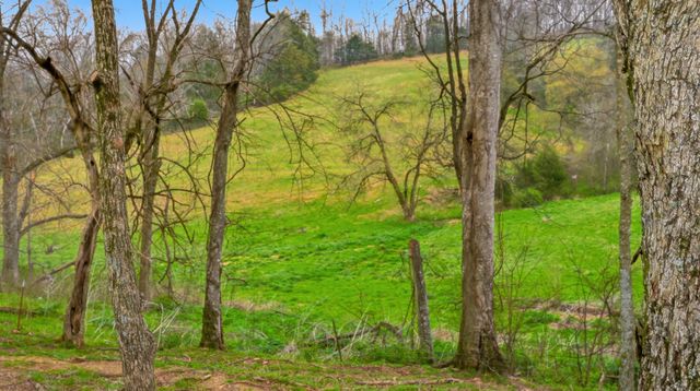 3633 Gnat Grove Rd, Cornersville, TN 37047