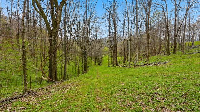 3633 Gnat Grove Rd, Cornersville, TN 37047