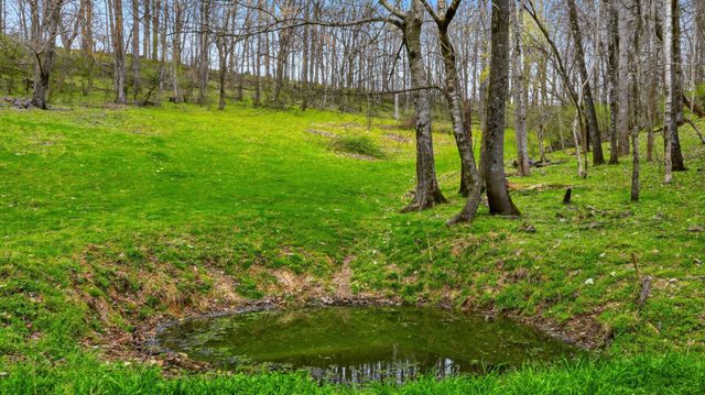 3633 Gnat Grove Rd, Cornersville, TN 37047