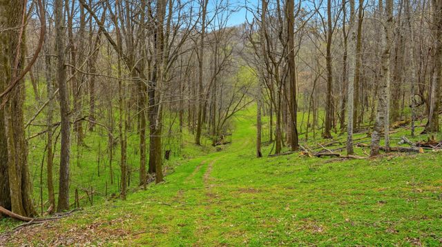 3633 Gnat Grove Rd, Cornersville, TN 37047