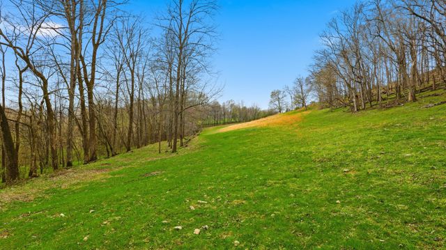 3633 Gnat Grove Rd, Cornersville, TN 37047