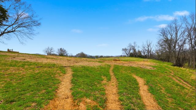 3633 Gnat Grove Rd, Cornersville, TN 37047