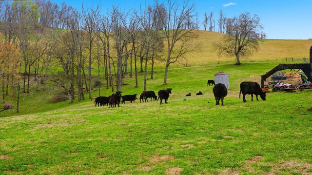 3633 Gnat Grove Rd, Cornersville, TN 37047