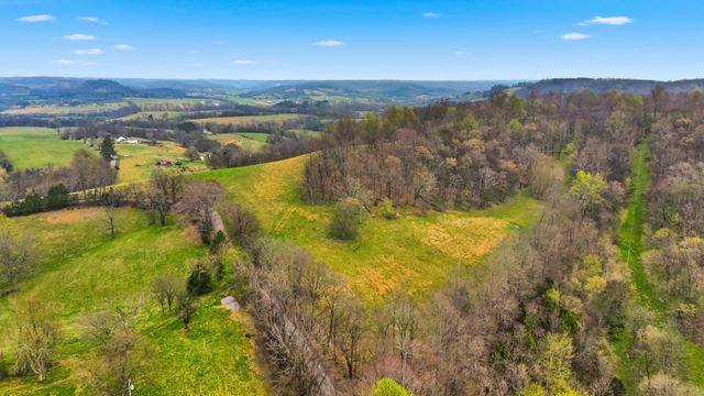 3633 Gnat Grove Rd, Cornersville, TN 37047