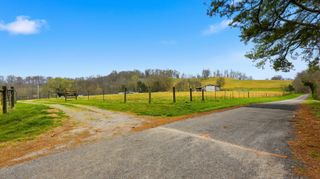 3633 Gnat Grove Rd, Cornersville, TN 37047