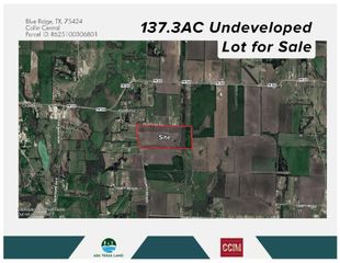 TBD 137.3AC County Road 832, Blue Ridge, TX 75424