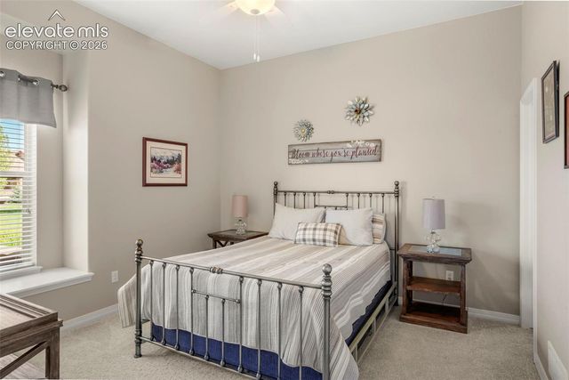 12993 Cupcake Heights, Colorado Springs, CO 80921
