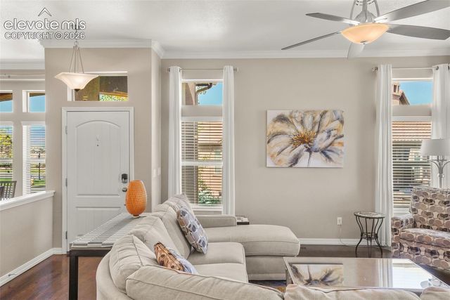 12993 Cupcake Heights, Colorado Springs, CO 80921