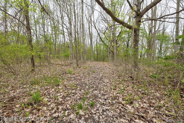 3960 Baldwin Road, Ortonville, MI 48462
